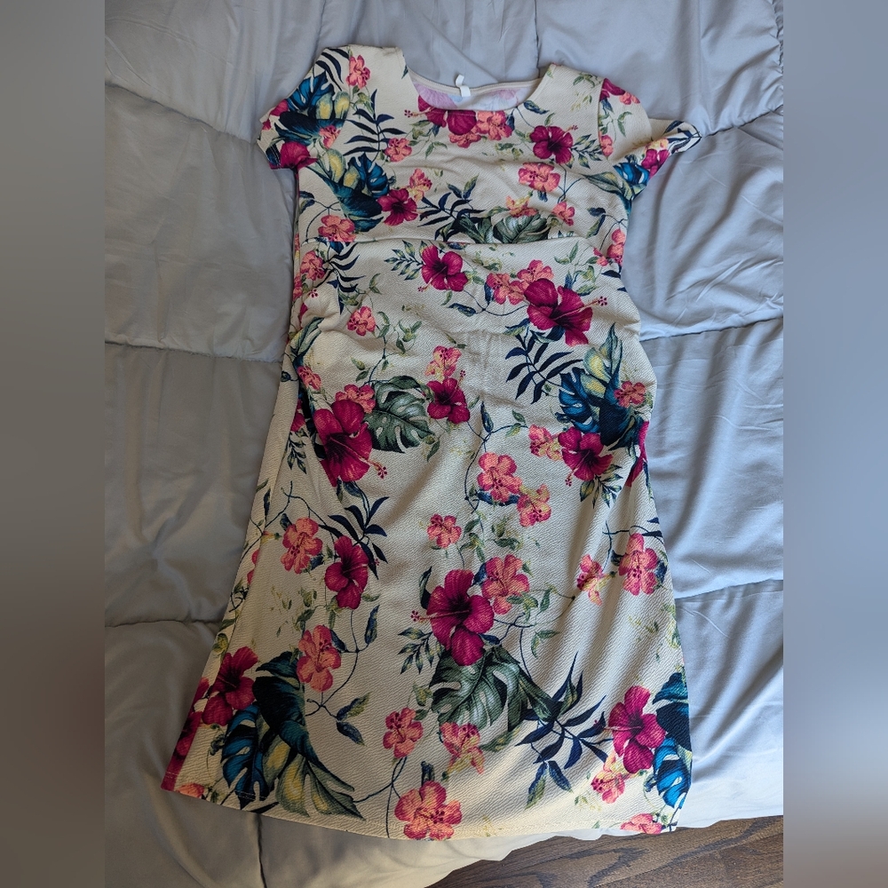Pinkblush body con maternity dress
